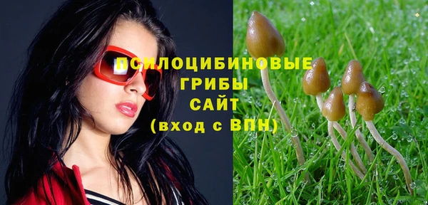 МДПВ Алексин