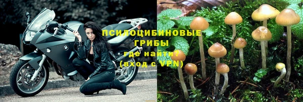 прущий лед Алексеевка