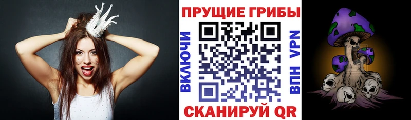 Псилоцибиновые грибы Magic Shrooms  где можно купить наркотик  Калининград 